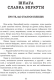 Шпага Славка Беркути. Зображення №2