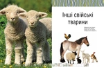 Малята-звірята. Зображення №8