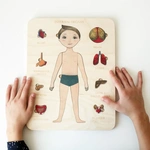 Пазлы обучающие Internal Organs Strateg 30349 № 3. Изображение №3
