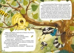 Казковий ліс. Пригоди єнотів-бешкетників. Зображення №4 Казковий ліс. Пригоди єнотів-бешкетників. Зображення №4