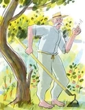 Тореадори з Васюківки. Пригоди Робінзона Кукурузо. Зображення №1