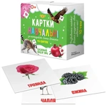 Картки навчальні за методикою Глена Домана. Базовий набір №6. Изображение №1