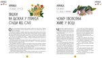 У світі оповідок про тварин. 50 казок, міфів і легенд. Зображення №3 У світі оповідок про тварин. 50 казок, міфів і легенд. Зображення №3