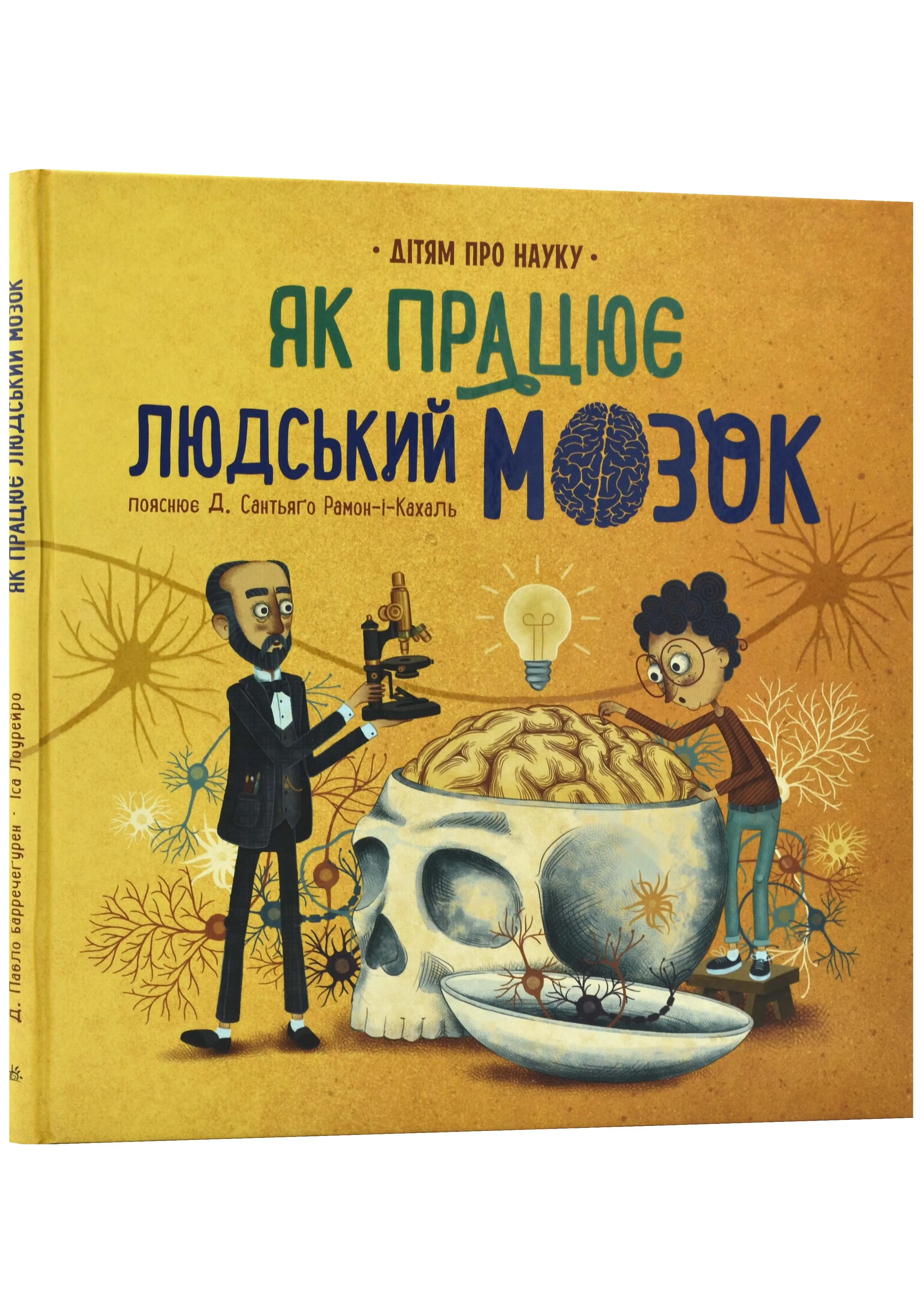 Як працює людський мозок Як працює людський мозок