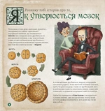 Як працює людський мозок. Изображение №2 Як працює людський мозок. Изображение №2