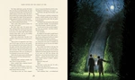 Harry Potter and the Goblet of Fire Illustrated Edition. Изображение №1