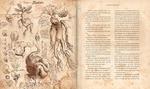 Harry Potter and the Chamber of Secrets Illustrated Edition. Зображення №5