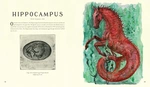 Fantastic Beasts and Where to Find Them Illustrated Edition. Зображення №3