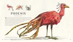 Fantastic Beasts and Where to Find Them Illustrated Edition. Зображення №5