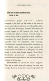 Quidditch Through the Ages. Изображение №8