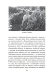 Війна і ми. Лікарі на війні. Зображення №3