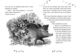 Ліс незвичайних тварин. Изображение №2