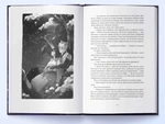 Безсмертний вогонь. Книга 3. Зображення №2