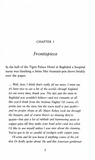 Murder in Mesopotamia. Hercule Poirot. Book 14. Зображення №8