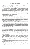 The Spanish Love Deception. Book 1. Зображення №3