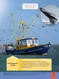 Дитяча енциклопедія довкілля. Зображення №9