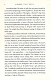 The Paper Palace. Зображення №2