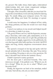 The Hypnotists Love Story. Зображення №3