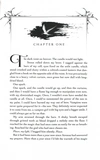 The Songbird and the Heart of Stone. Book 3. Crowns of Nyaxia. Зображення №5