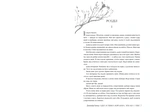 Одна істинна королева. Книга 2. Зіткана з тіні. Изображение №2