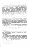 The Lady of the Lake. The Witcher. Book 5. Изображение №3