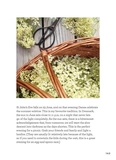 The Little Book of Hygge. Изображение №5