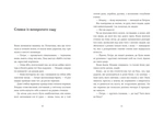 Небесна парасоля. Зображення №5