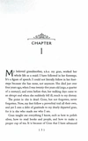 The Mystery Guest. A Molly the Maid Mystery. Book 2. Зображення №3