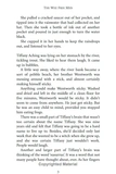 The Wee Free Men. Зображення №3