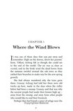 The Shepherd's Crown. Зображення №4