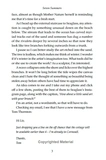 Seven Summers. Зображення №2