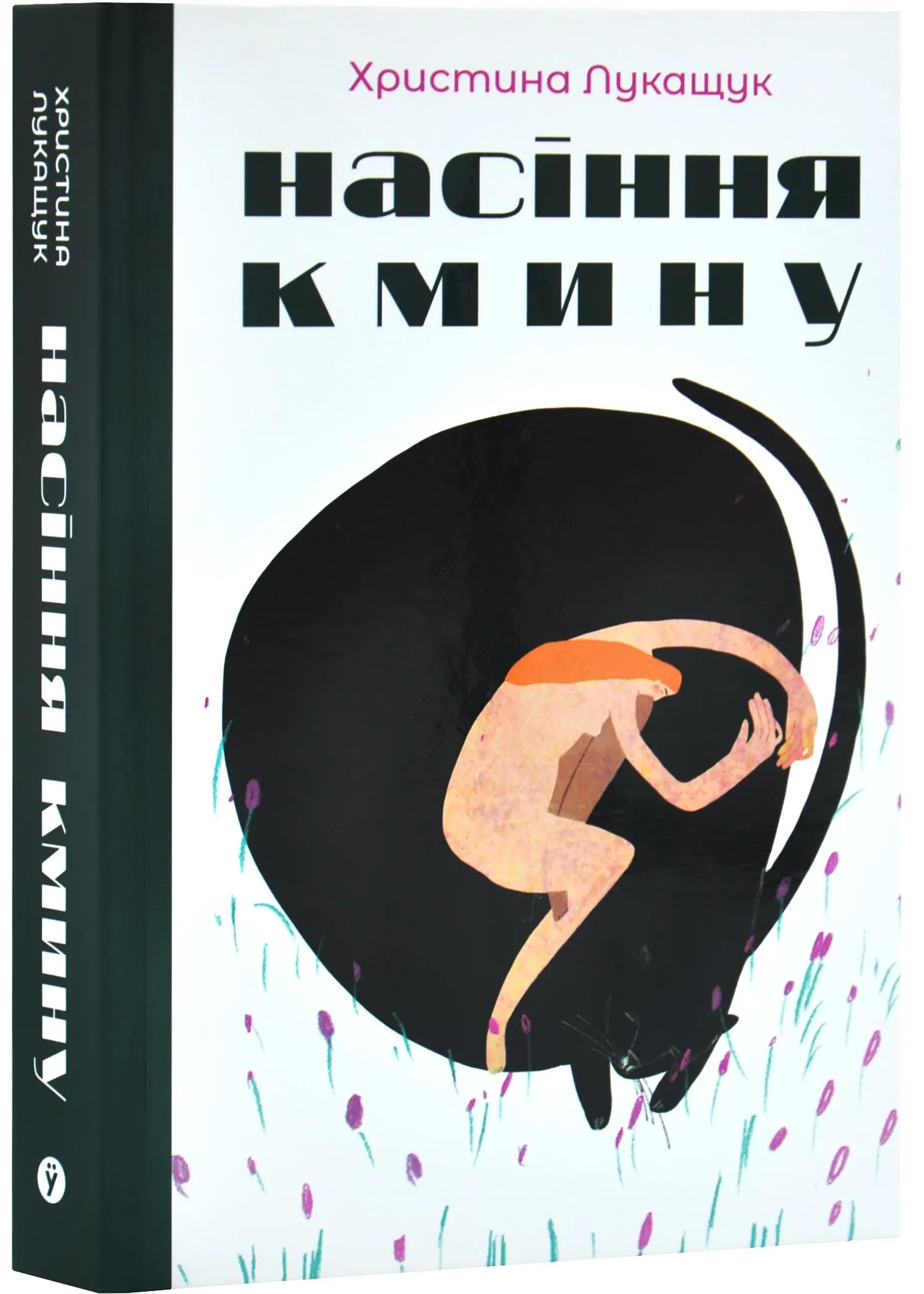 Насіння кмину Насіння кмину