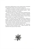 Коли зацвіте каштан. Изображение №2