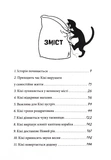 Відьмина служба доставки. Зображення №1