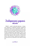 Небулія і таємнича летюча зірка. Nebulous Stars. Книга 1. Изображение №3