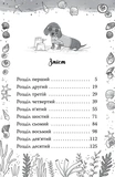Такса. Серфер. Книга 2. Изображение №1