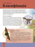 Дитяча енциклопедія біології. Зображення №3 Дитяча енциклопедія біології. Зображення №3