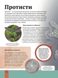 Дитяча енциклопедія біології. Зображення №7 Дитяча енциклопедія біології. Зображення №7
