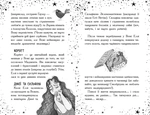 Елзі Піклз. Відьмам вхід заборонено!. Зображення №4
