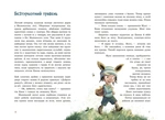 Непосида Кноп. Диво в Маленькому лісі. Зображення №1