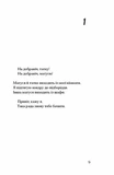 Інциденти в нас удома. Зображення №2