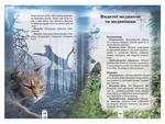 Коты-воители. Тайны кланов. Путеводитель по серии. Эрин Хантер. Асса. Изображение №1 Коты-воители. Тайны кланов. Путеводитель по серии. Эрин Хантер. Асса. Изображение №1