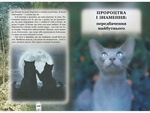 Коты-воители. Тайны кланов. Путеводитель по серии. Эрин Хантер. Асса. Изображение №2 Коты-воители. Тайны кланов. Путеводитель по серии. Эрин Хантер. Асса. Изображение №2