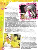 Энциклопедия для девочек. Изображение №2