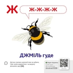 Звукоподражание. Азбука QR. Изображение №1