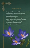 Дневник Мавки. Лесная. Изображение №2
