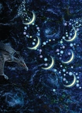 Книга звездных легенд. Изображение №1 Книга звездных легенд. Изображение №1