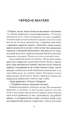 Он любил солнце. Изображение №2