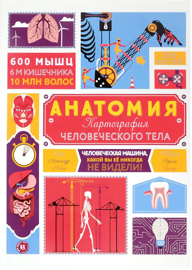 Анатомия. Картография человеческого тела. Гишар Ж. Пешком в историю Анатомия. Картография человеческого тела. Гишар Ж. Пешком в историю