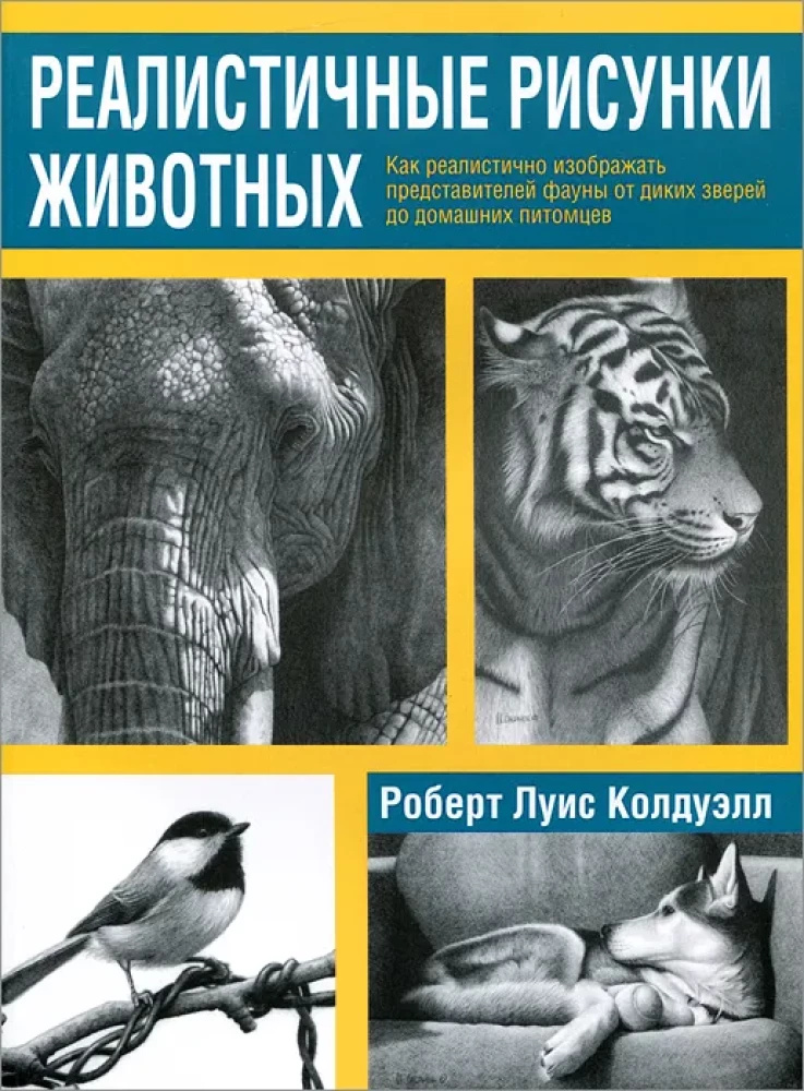 Реалистичные рисунки животных. Попурри Реалистичные рисунки животных. Попурри